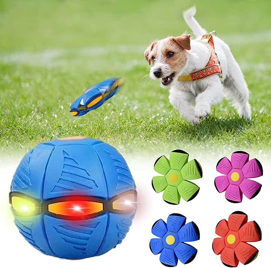 PetNoble™ Dog Frisbee