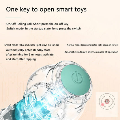 PetNoble™  Interactive Ball