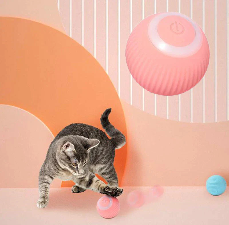 PetNoble™  Interactive Ball