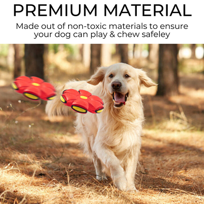 PetNoble™ Dog Frisbee