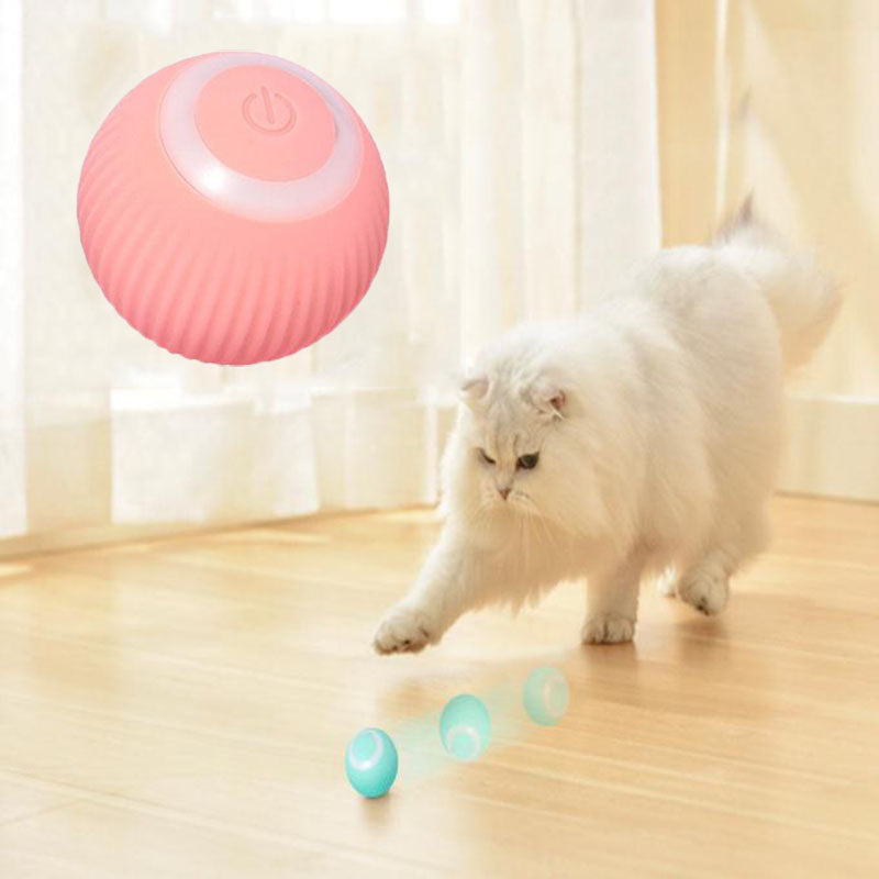 PetNoble™  Interactive Ball