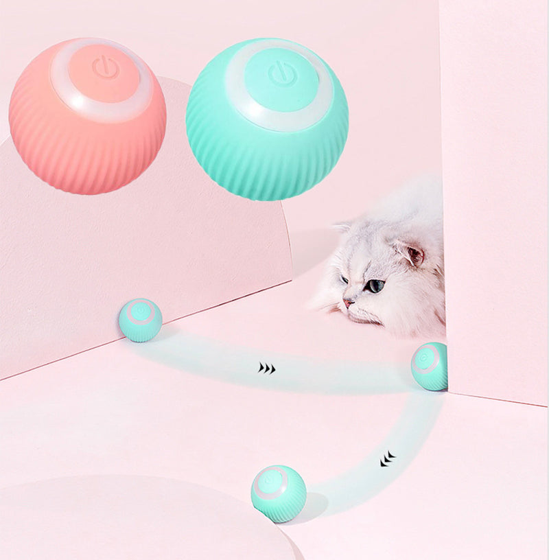 PetNoble™  Interactive Ball